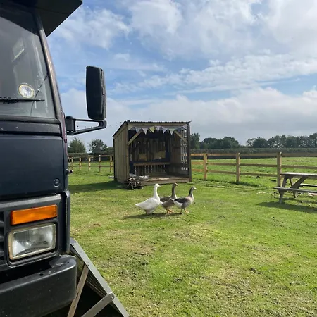 North Yorkshire Horse Box Luxusní stan