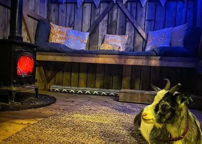 North Yorkshire Horse Box Glamping