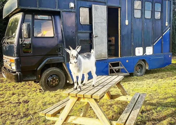 North Yorkshire Horse Box *
